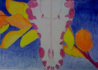 Introcolor1.jpg